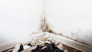 Schimmel an Wandecke mit abgelöster Beschichtung